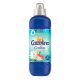 Coccolino öblítő 925ml (8db/karton) Creatinos Water Lily/Pink Grapefruit